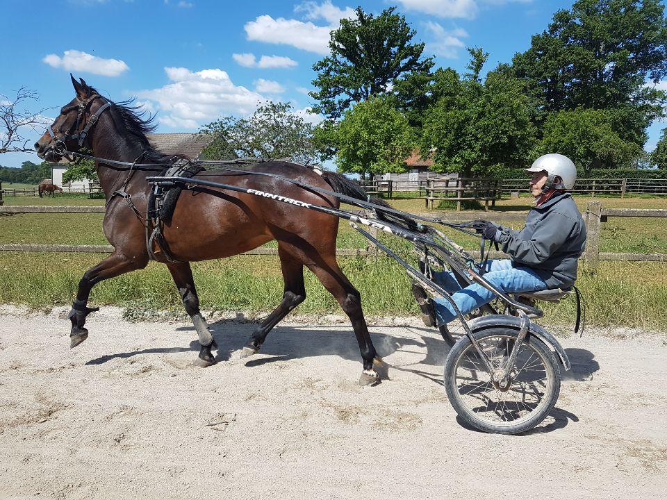 Francis Germain drive Gipsy